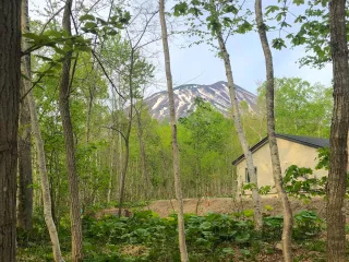 8aaf7354-6abf-4ae6-9bd8-58d485713a16