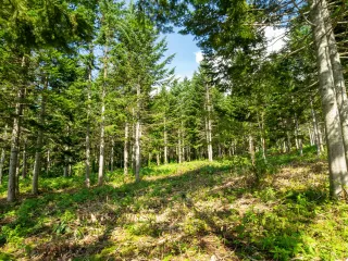 Annupuri Residences Lot #3(3)