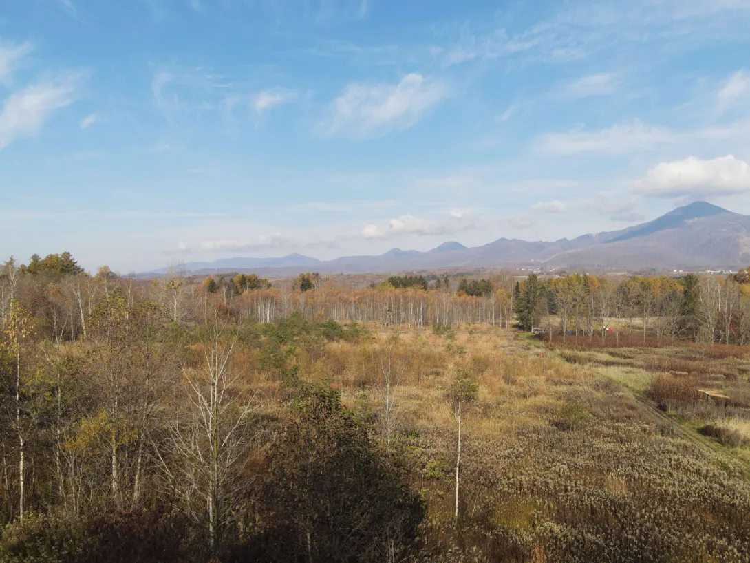 462564954_1257625855280768_5093121252578440326_n