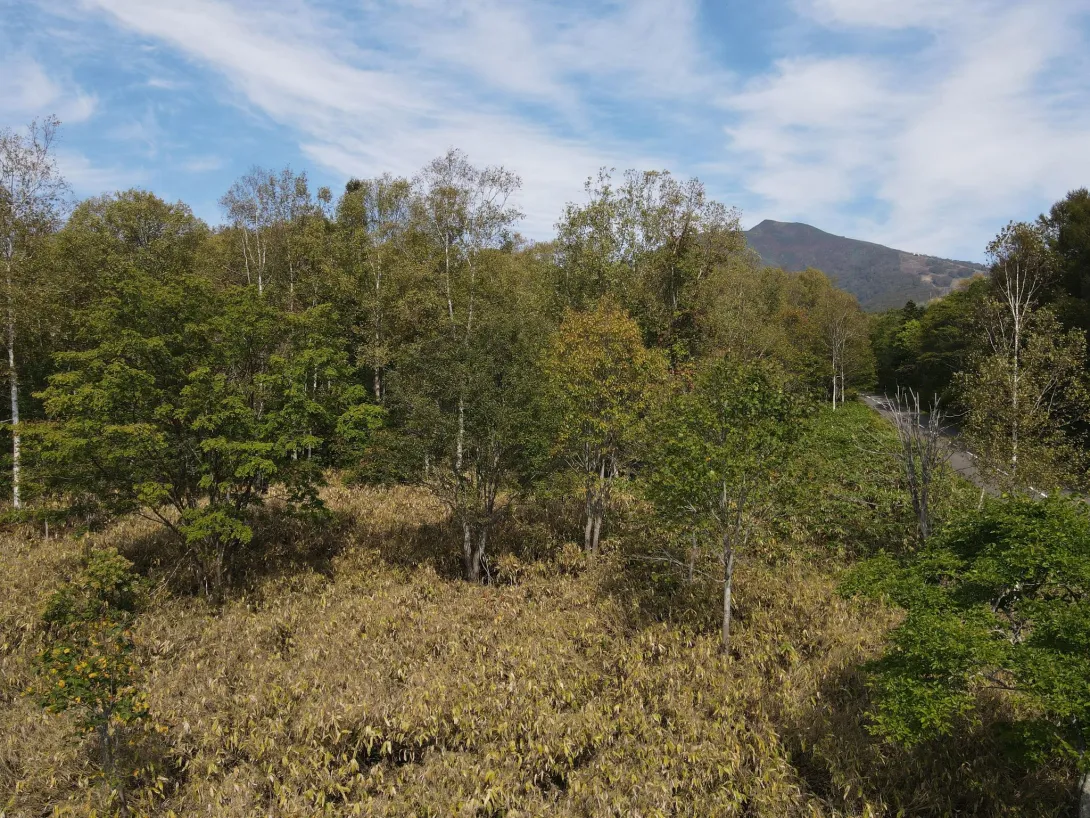 RT Corner potential 2nd floor views (1)