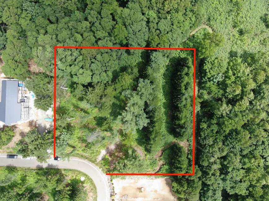 Screen Shot 2022-11-28 at 12.47.11 PM